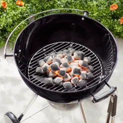 Charcoal Grate
