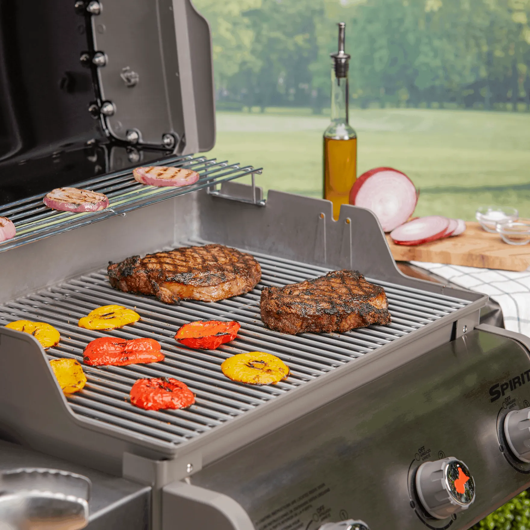 Cooking Grates