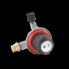 Gas Valve and Regulator Assembly