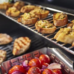 Genesis E-325 Gas Grill (Liquid Propane)