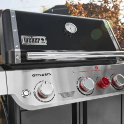 Genesis E-325 Gas Grill (Natural Gas)