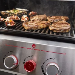 Genesis E-325 Gas Grill (Natural Gas)