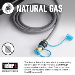 Genesis EX-335 Smart Gas Grill (Natural Gas)