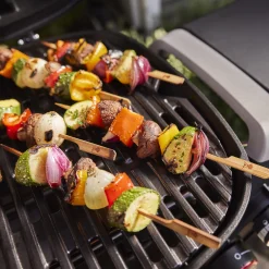 Q 2800N+ Gas Grill (Liquid Propane)