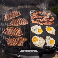 Q 2800N+ Gas Grill (Liquid Propane)