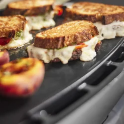 Q 2800N+ Gas Grill (Liquid Propane)