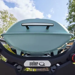 Q 2800N+ Gas Grill (Liquid Propane)