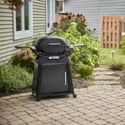 Q 2800N+ Gas Grill with Stand (Liquid Propane)