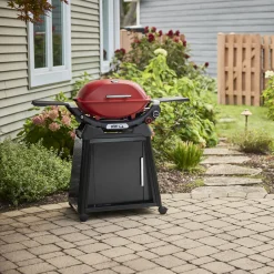 Q 2800N+ Gas Grill with Stand (Liquid Propane)