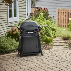 Q 2800N+ Gas Grill with Stand (Liquid Propane)