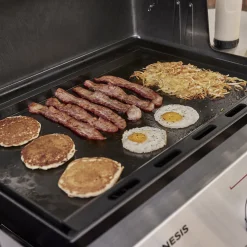 Rust-Resistant Griddle Insert