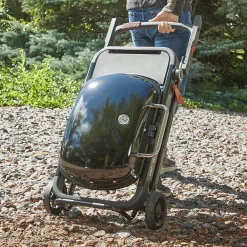 WEBER TRAVELER® Portable Gas Grill